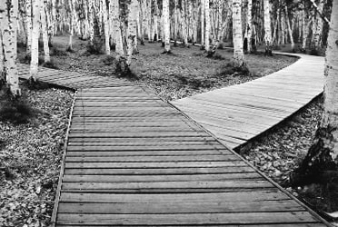 Philosophisches Denken